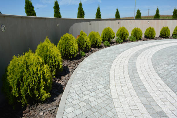 Best Professional Driveway Pavers  in King City, CA